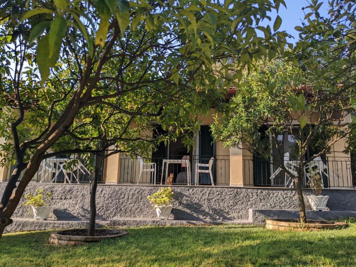 Villa Eleni - Studios Лиападес Экстерьер фото